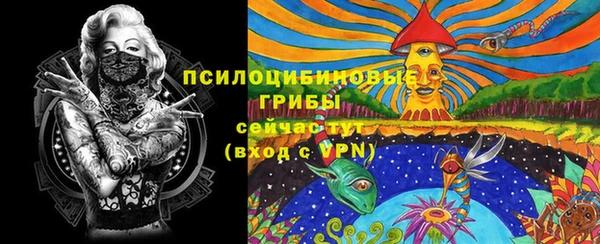 метамфетамин Алексеевка