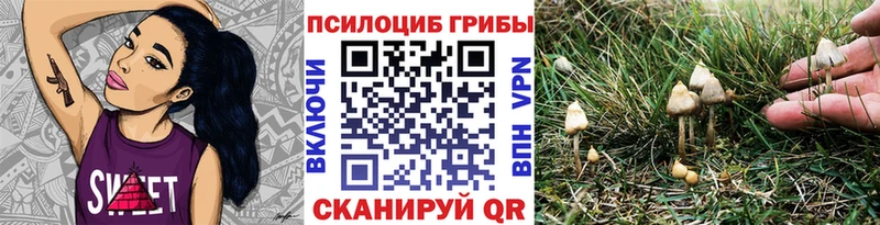 Псилоцибиновые грибы MAGIC MUSHROOMS  Волхов 